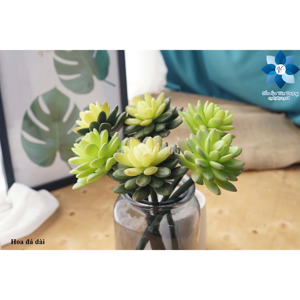 Hoa Đá Giả, Hoa Sen Đá Giả Cành Dài