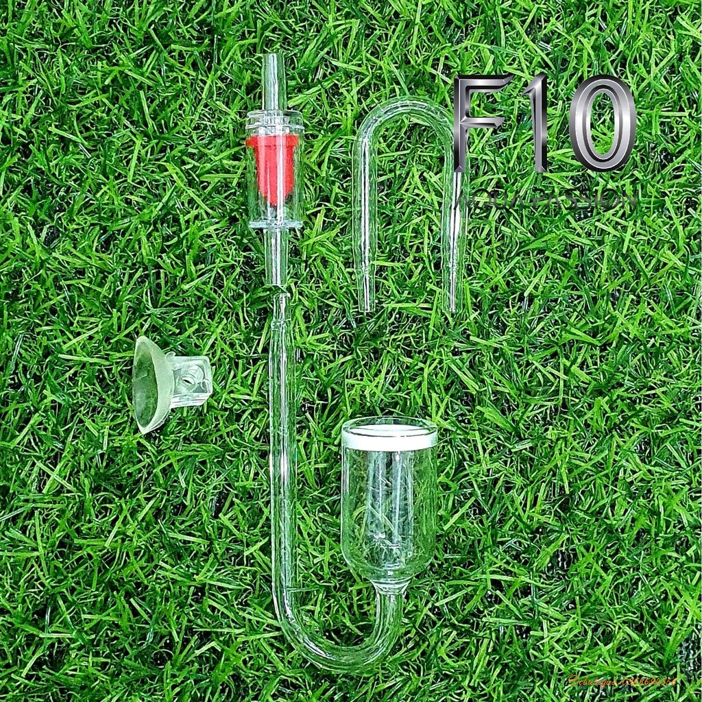 Bộ Cốc Sủi CO2 Thuỷ Tinh Full Option