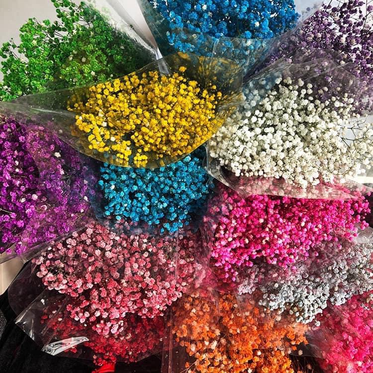 [HCM]Hoa Baby khô bó 100g