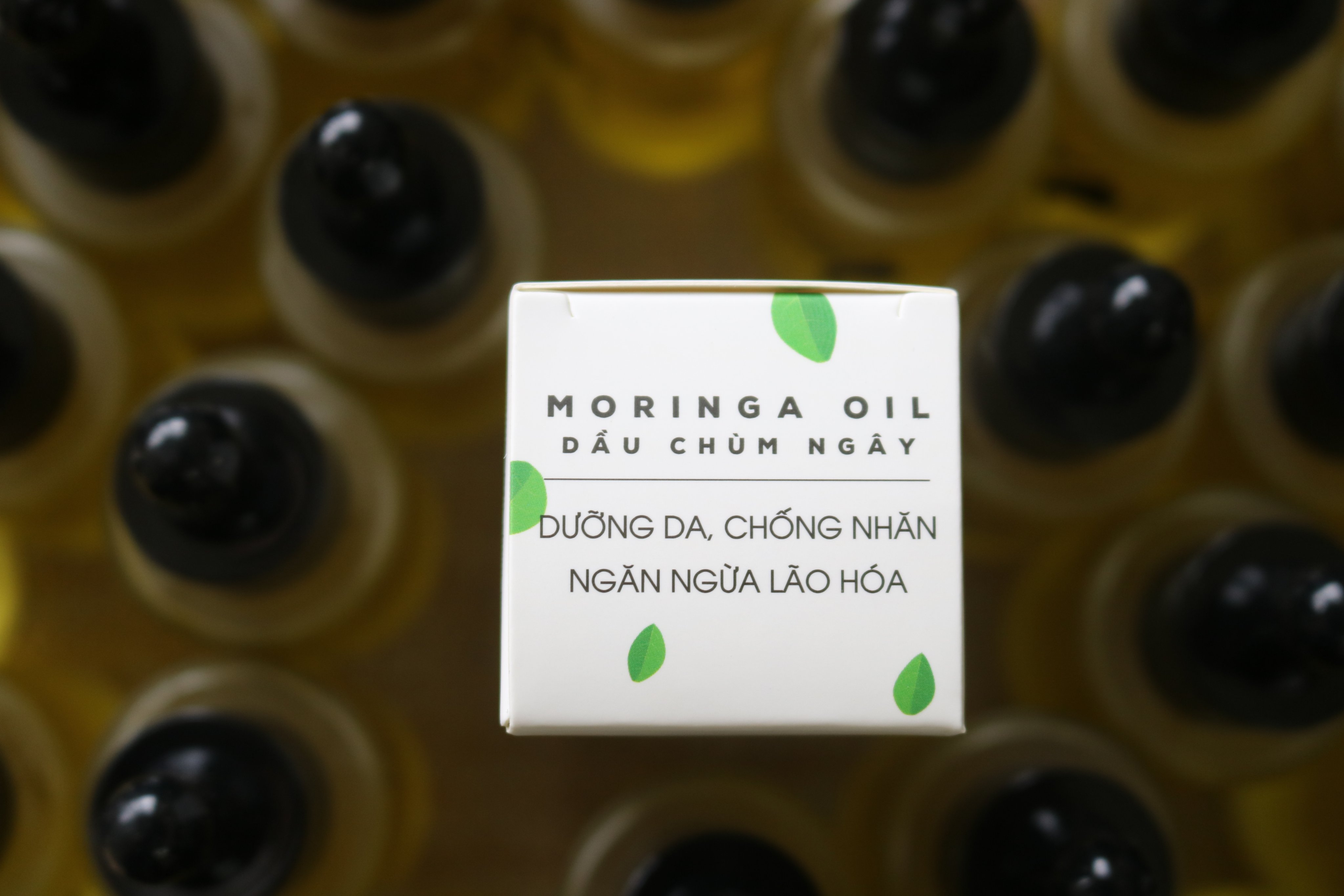 Dầu Chùm Ngây MoriS 30ml