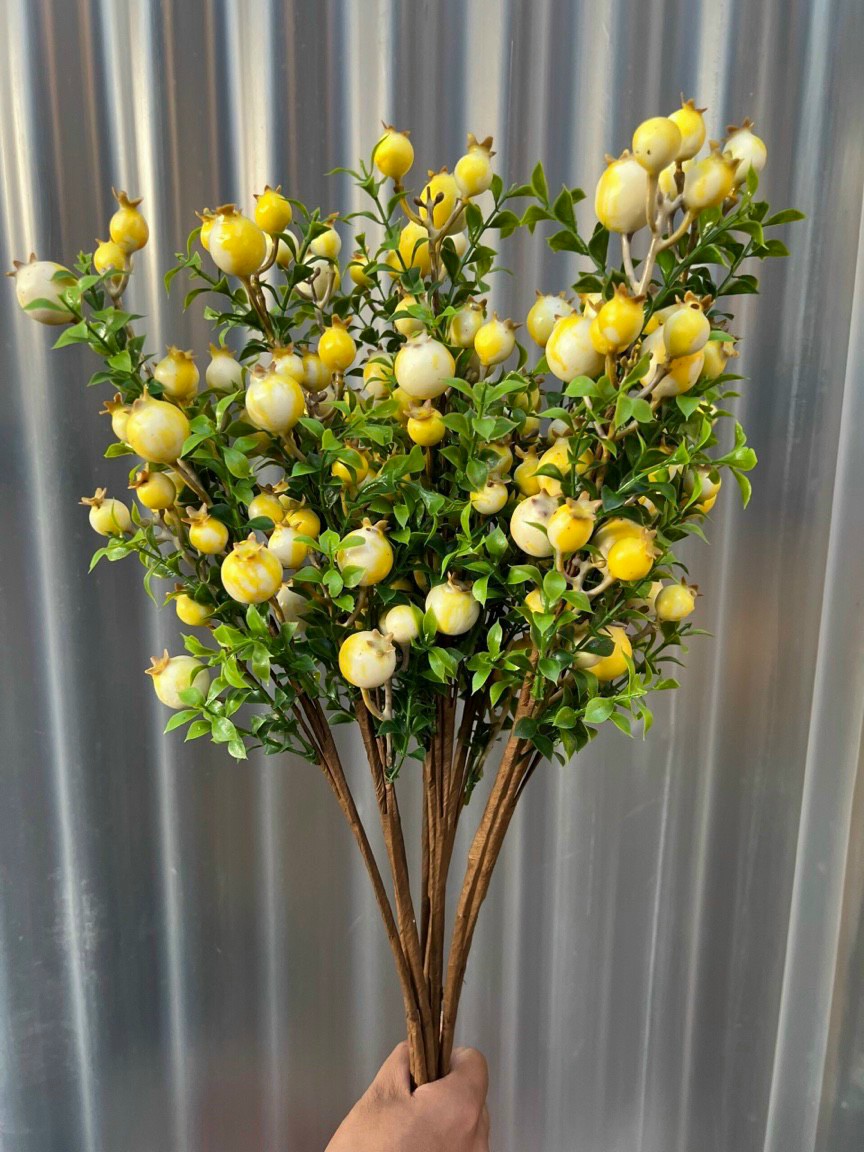 Branches fruit pomegranate fruit big, small fruit, stems mandarin imported decorative New Year, homes, bars Amnesty imports type 1
