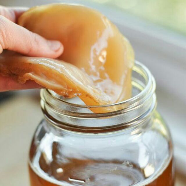Trà Kombucha- Happy House
