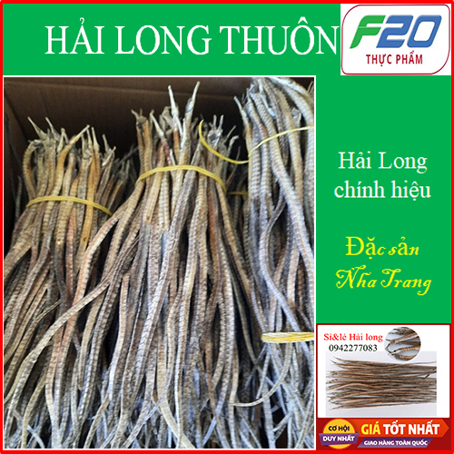 Hải - Long thuôn dài 1 cặp. Rồng - Biển