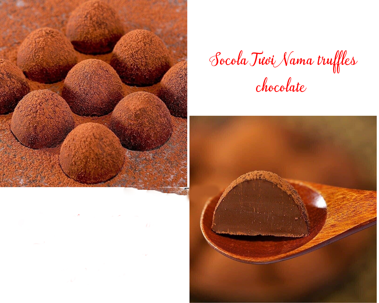SOCOLA Tươi Nama Truffles - Hộp 500g