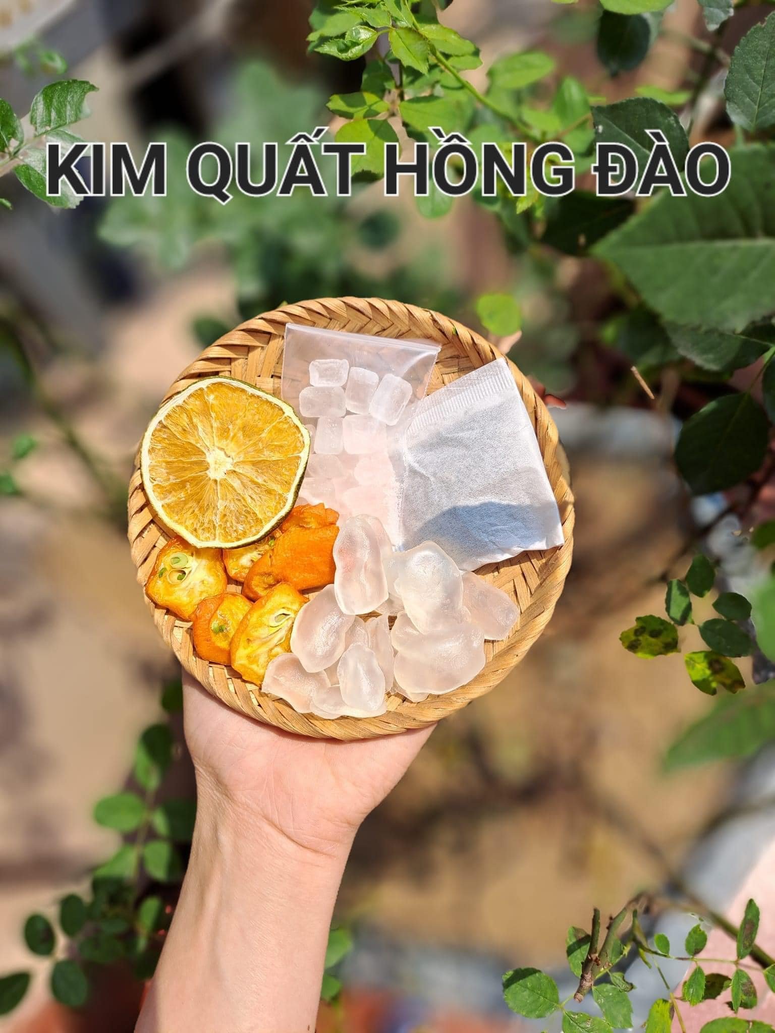 Trà Thảo Mộc Các Loại List 1