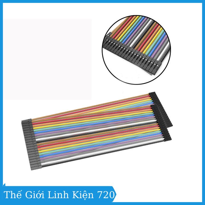Tệp 40 sợi dây cắm test board cái cái 40P 21Cm câu mạch