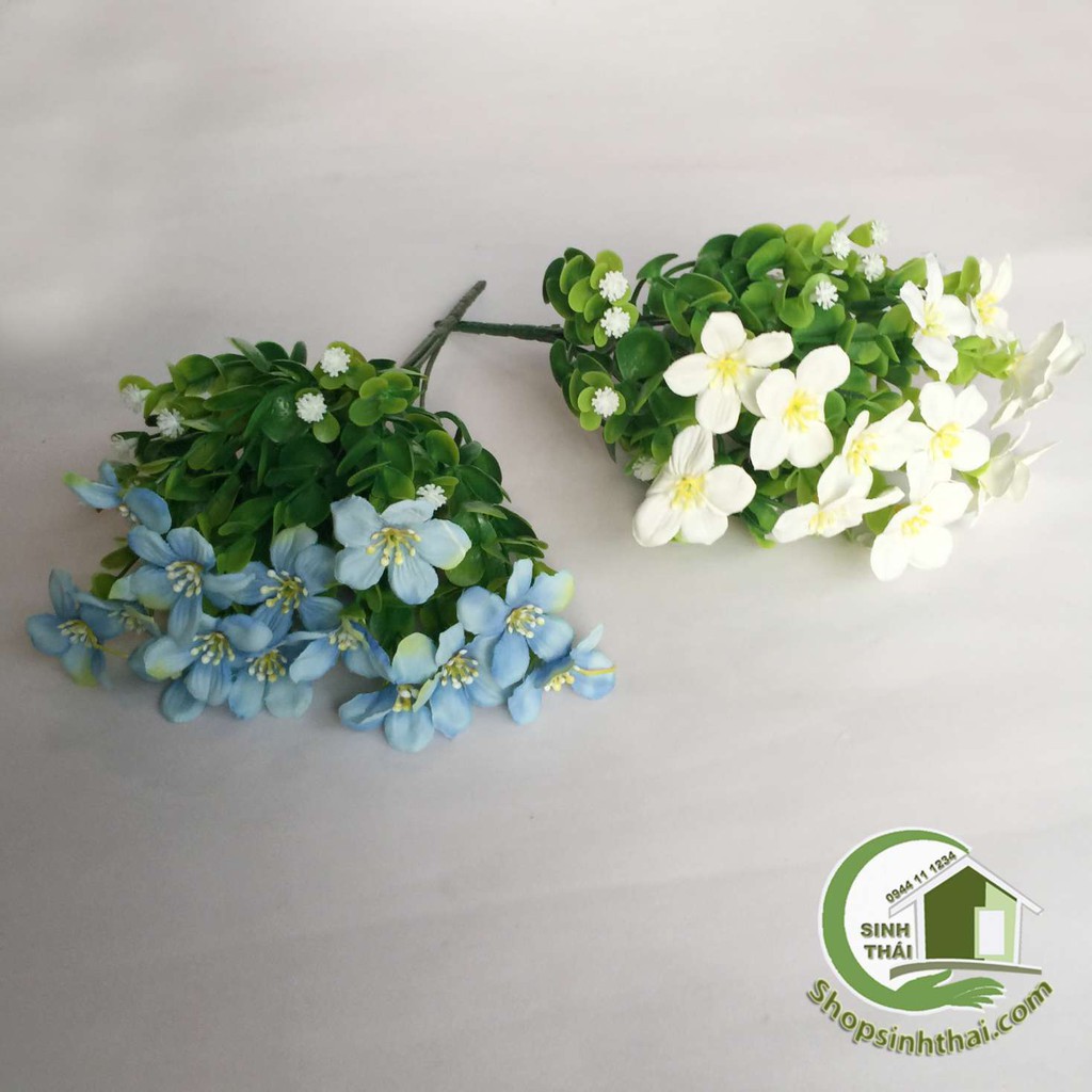 [HCM]Bụi cây hoa lài tây cao 33cm - chọn màu
