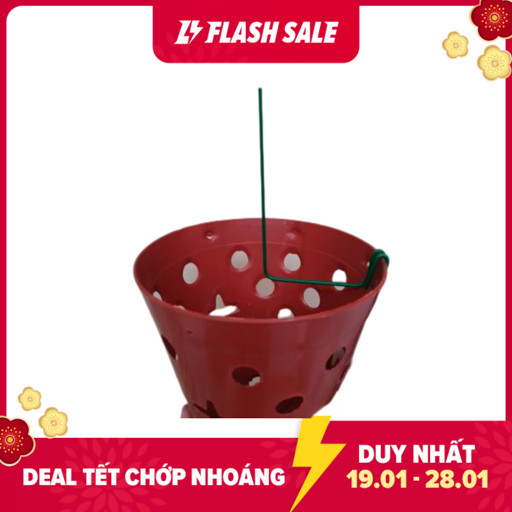 Combo 10 que kẹp chậu giữ kie