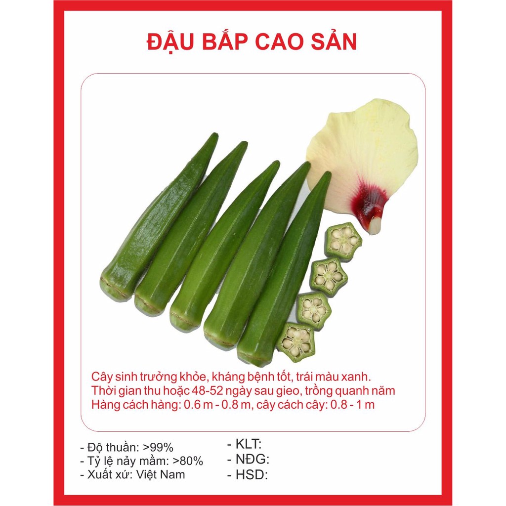 MA54D Hạt giống Đậu Bắp Xanh 10 hạt