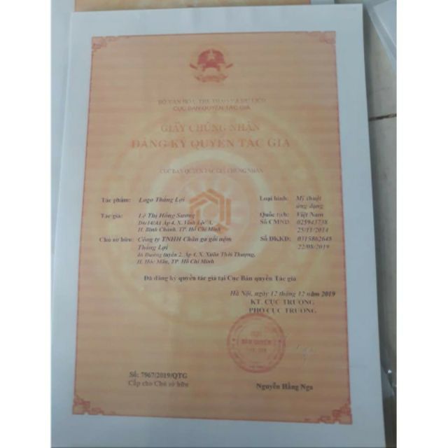 Nệm Cao Su Non Thắng Lợi Gấp 3 Dày 5Cm
