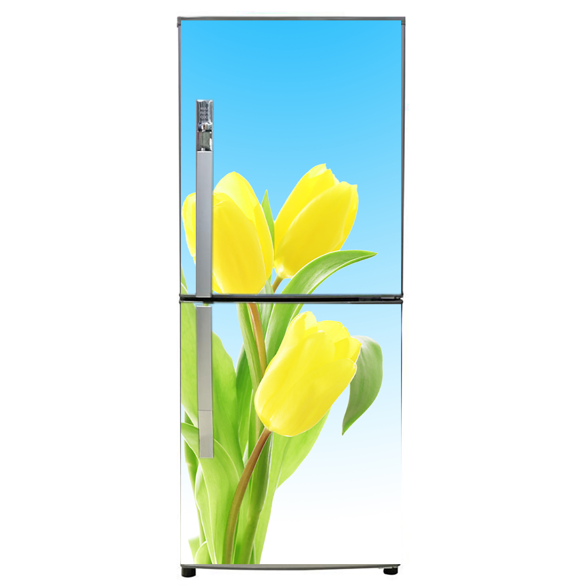 Decal dán trang trí tủ lạnh - hoa tulip