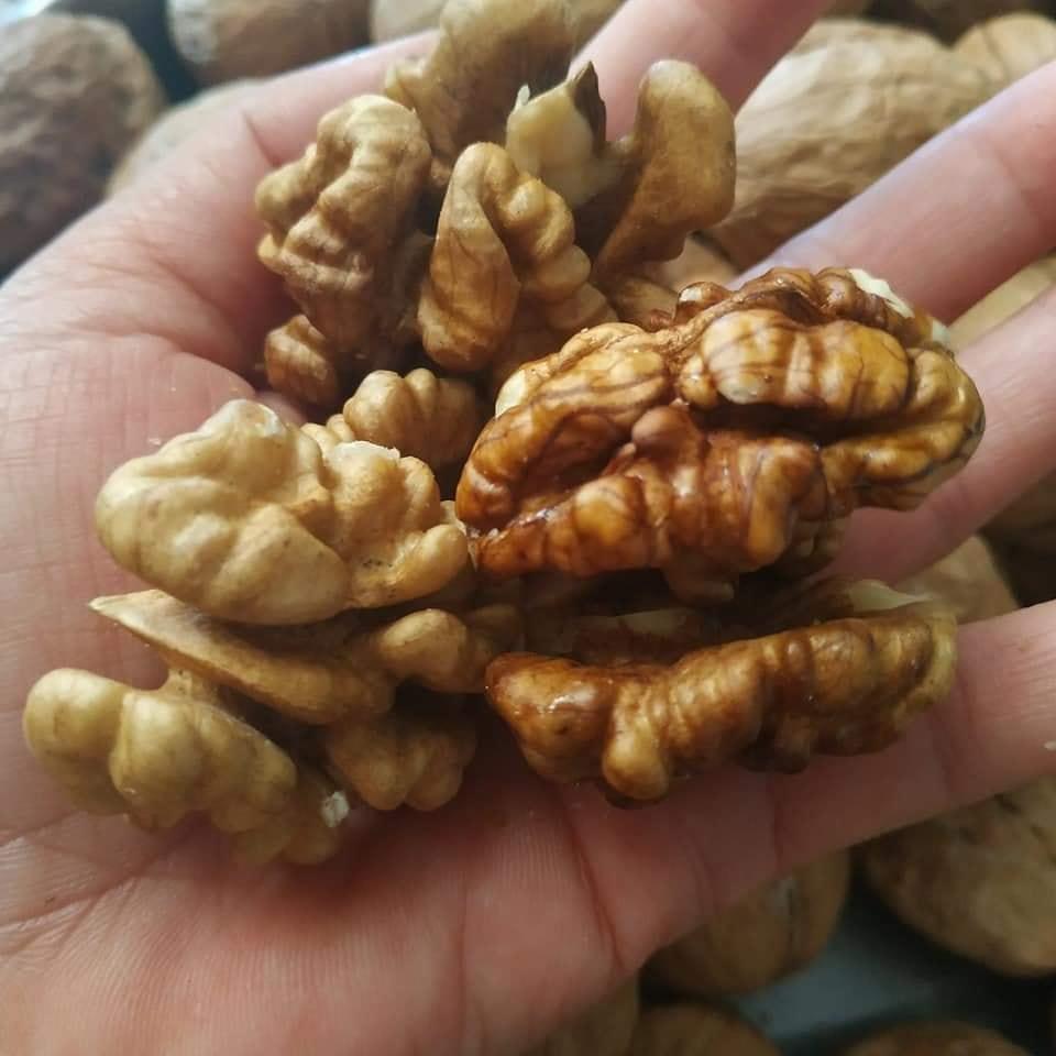 [HCM]ÓC CHÓ VÀNG - Nguyên hạt (500gr)