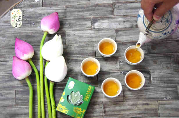 Trà Shan Tuyết Ứớp Sen Bách Diệp