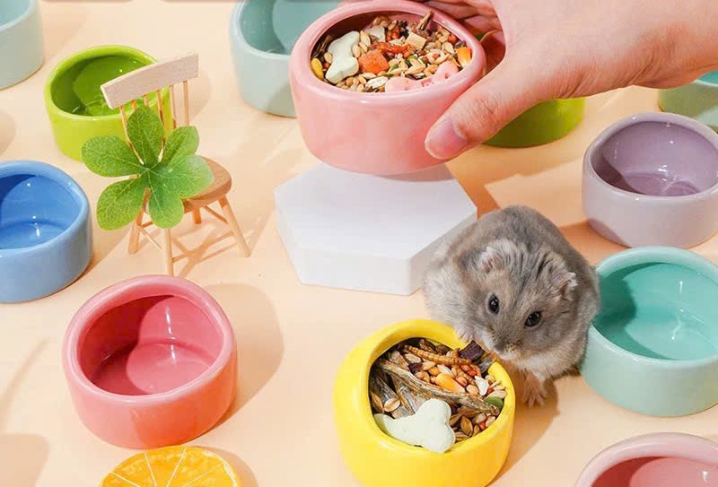 chén vòm trơn size lớn cho hamster /sóc /nhím /fat tail /dumbo / rat -T3 PETS SHOP