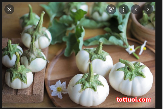 Hạt Giống Cà Bát Trắng Cao Sản
