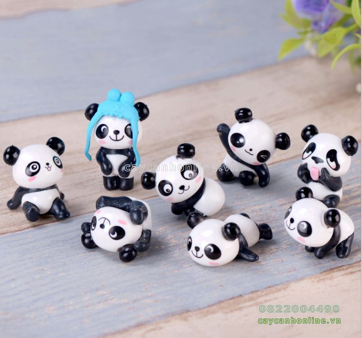 Gấu trúc panda tinh nghịch