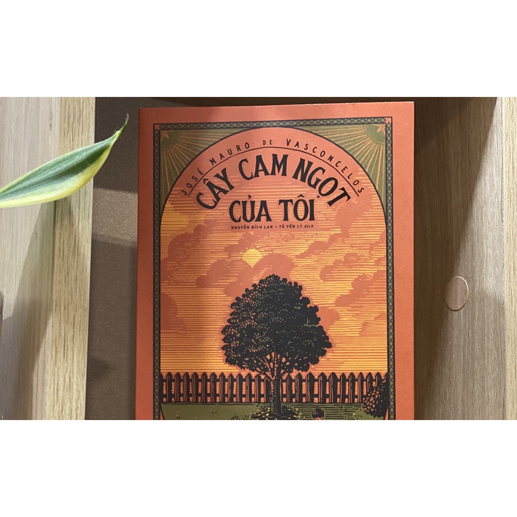 Sách - Cây Cam Ngọt Của Tôi
