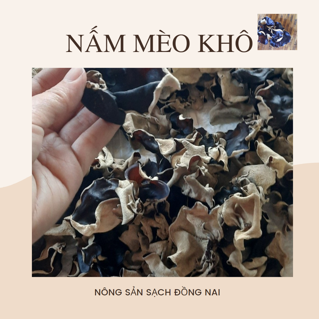 wood ear mushroom