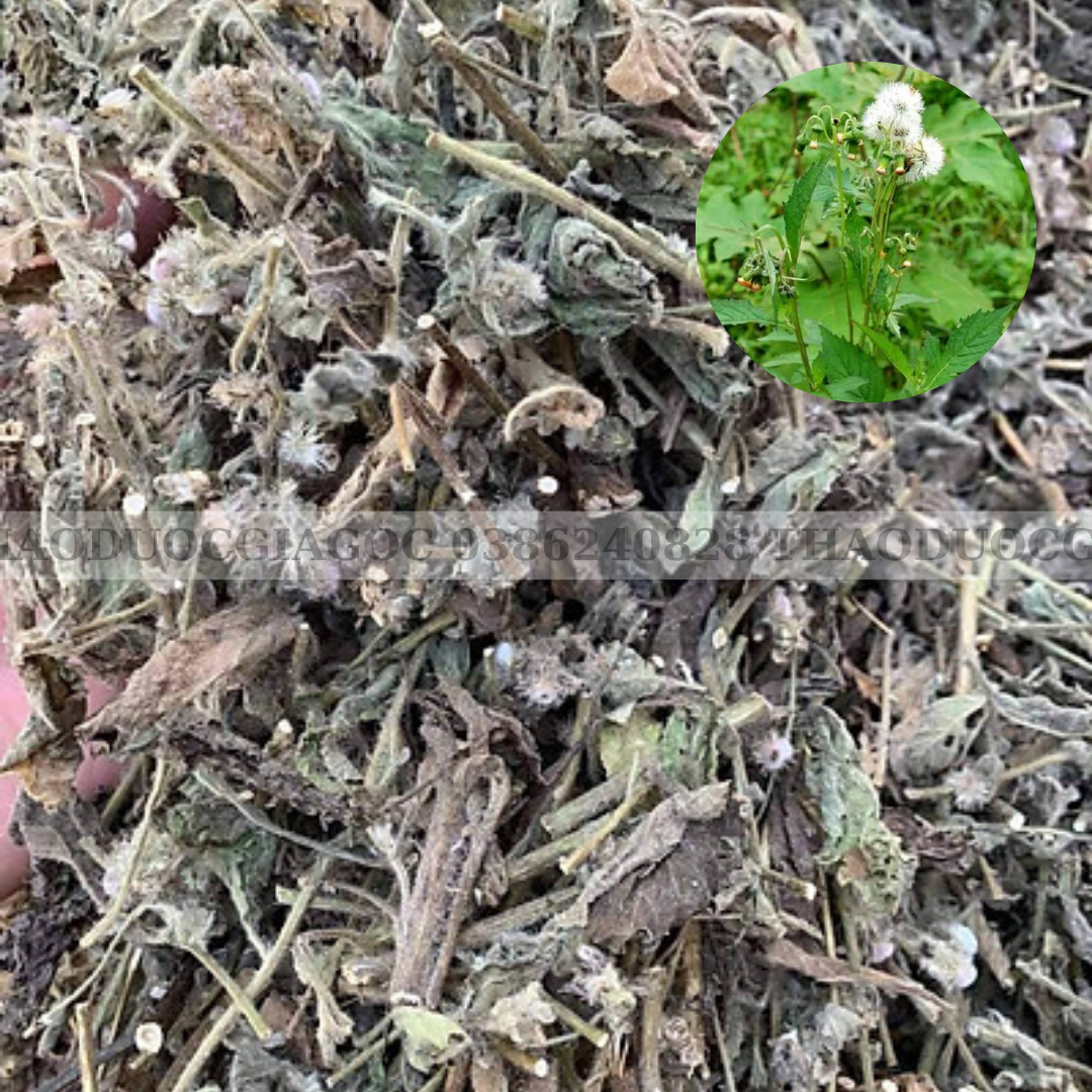 1kg cây cải trời khô