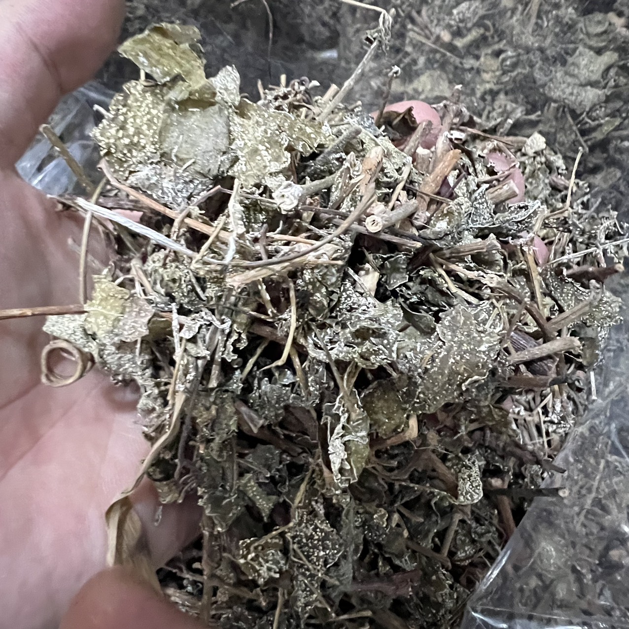 Chè dây sapa loại 1kg tấn phát - Hàng công ty chất lượng cao hỗ trợ cải thiện sức khoẻ cực kỳ hiệu quả