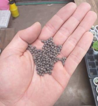 Phân nền bể cá (1kg)