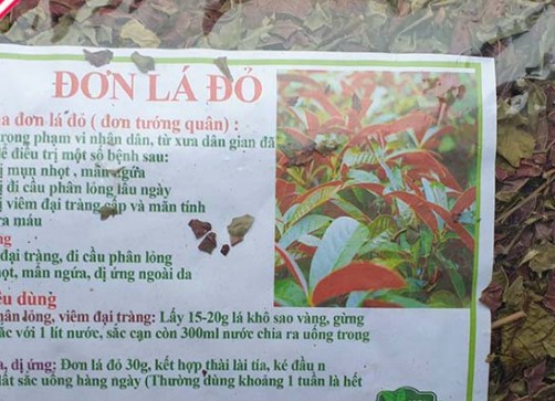 Đơn lá đỏ (1kg khô) - DTX150