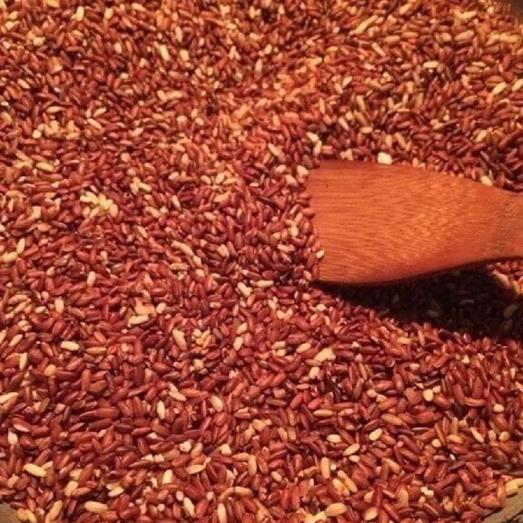 trà gạo lứt rang 1kg
