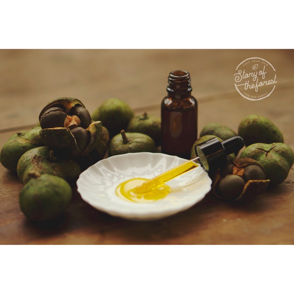 DẦU HẠT TRÀ CAMELLIA OIL - TÍA TÔ [STORY OF THE FOREST]