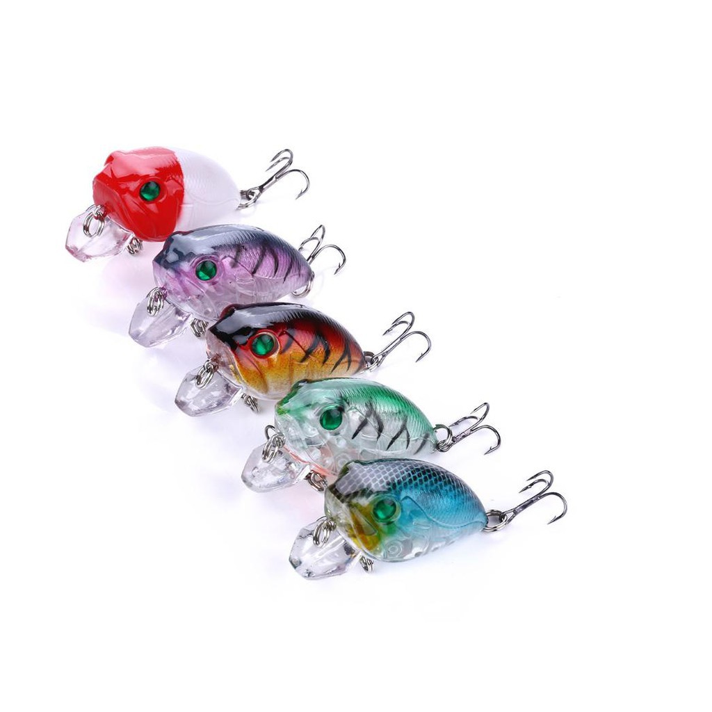 Mồi ruồi lớn , mồi câu lure