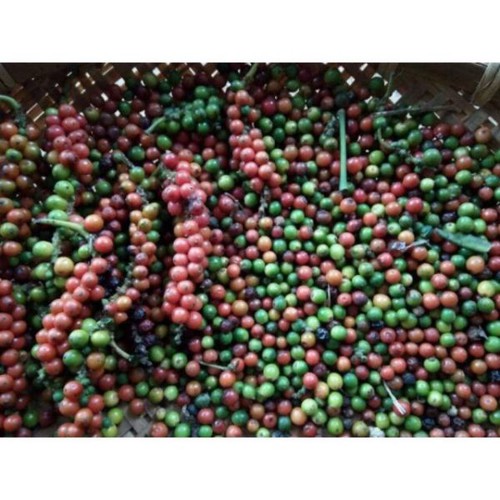 hạt tiêu đen Đăk Lăk chắc hạt 500g - tiêu