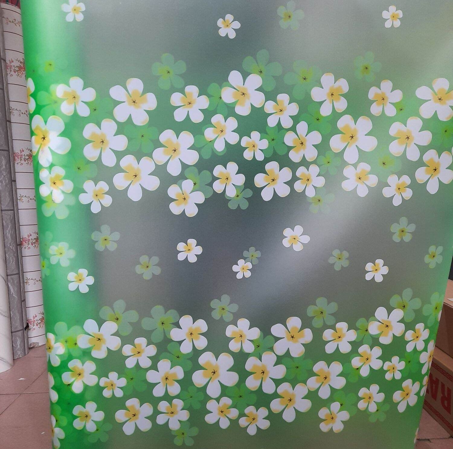 Giấy Dán Kính, Decal Dán Kính Mờ