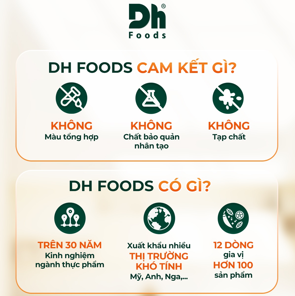 Sa Tế Chay 100g Dh Foods