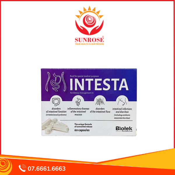 Intesta viên uống tpbvsk - hỗ trợ điều trị viêm đại tràng và hội chứng ruột kích thích, hàng chuẩn balan, hộp/60 viên