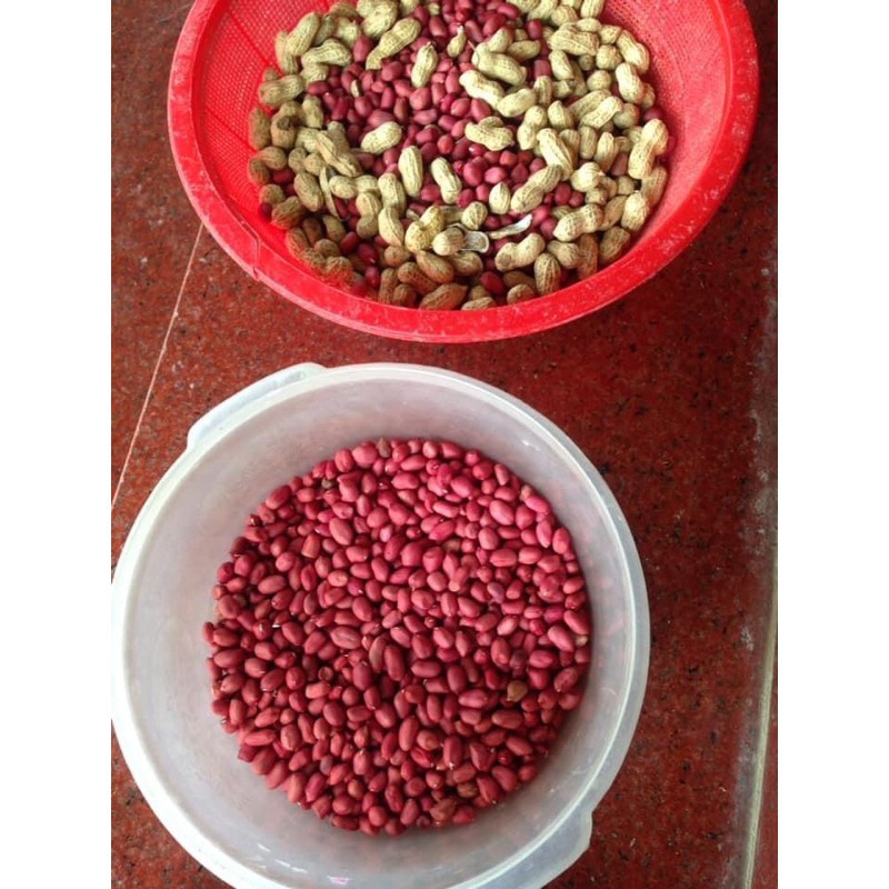 Lạc đỏ quê rang sẵn (1kg) Đại lý gạo Bà Tám