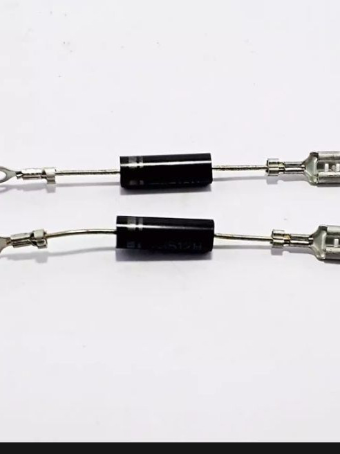 Bộ 2 diot lo vi song loai tot