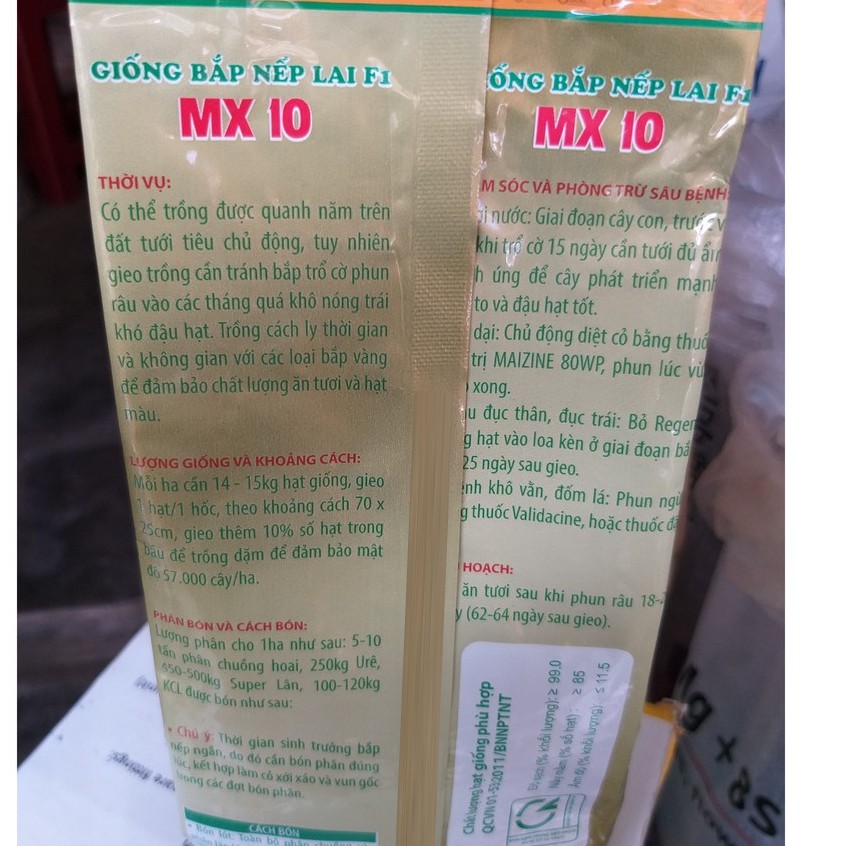 Hạt Giống Bắp Nếp Lai MX10 (500g)