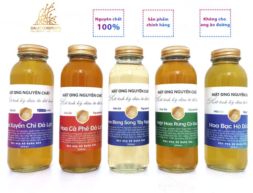Mật ong nguyên chất hoa cà phê - Dalat Cordyceps