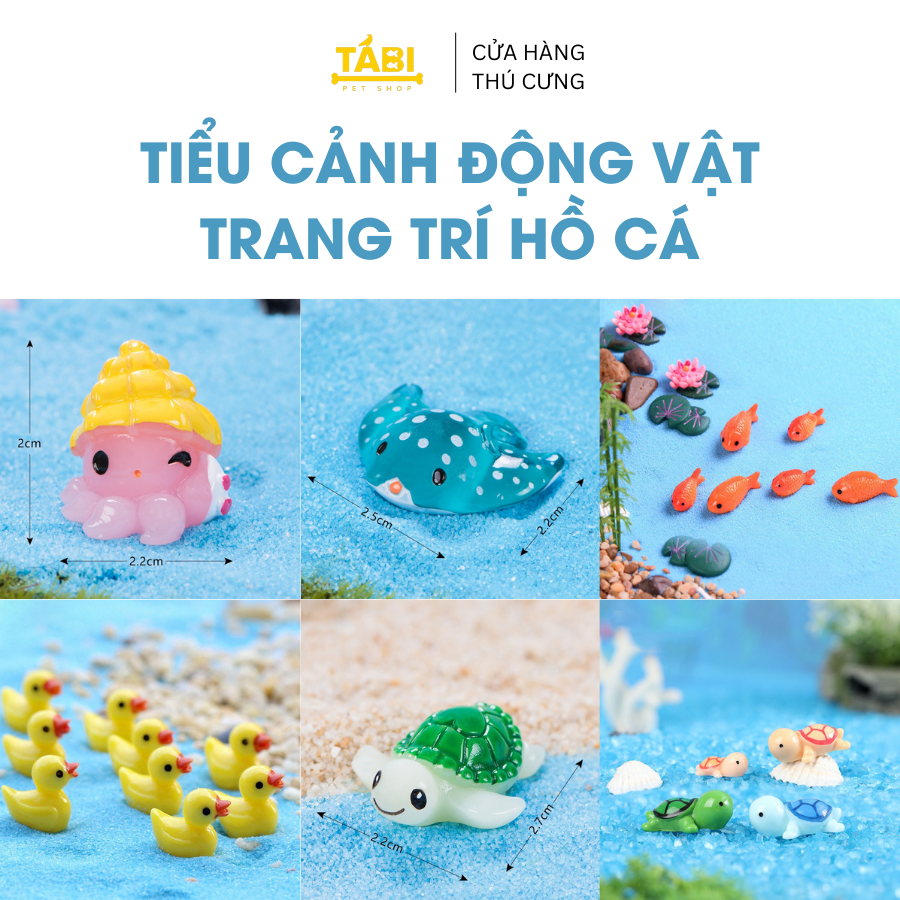 Bể Cá Cảnh Thủy Sinh Mini Để Bàn Làm Việc Ấn Tượng Và Độc Đáo