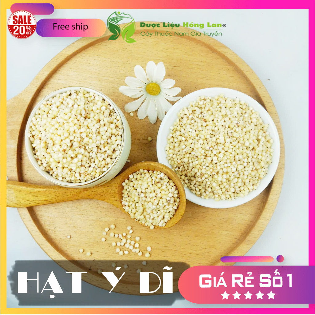 [FreeshipMAX] ✅[THƯỢNG HẠNG] 100g Hạt Ý Dĩ đẹp loại 1 - (Hàng chính hãng)