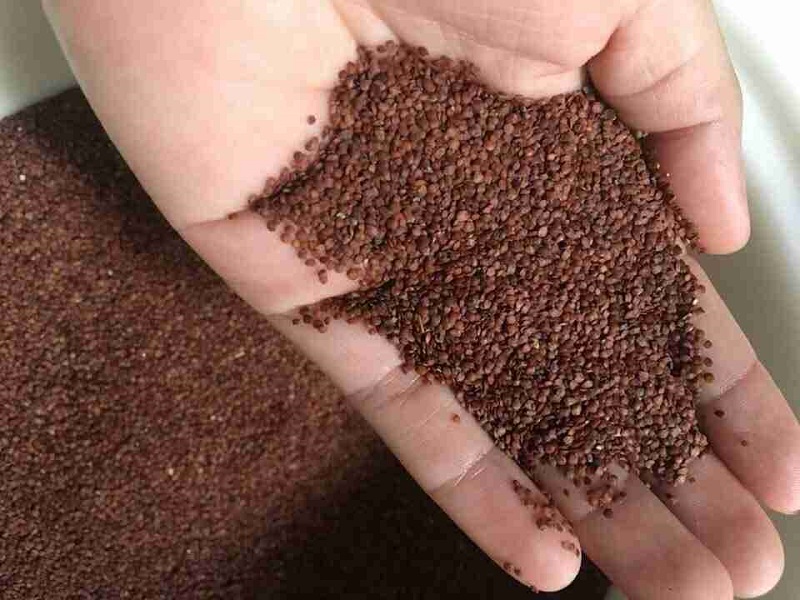 Bột Đắp Mặt Nạ Ngũ Hoa Hạt Nhỏ