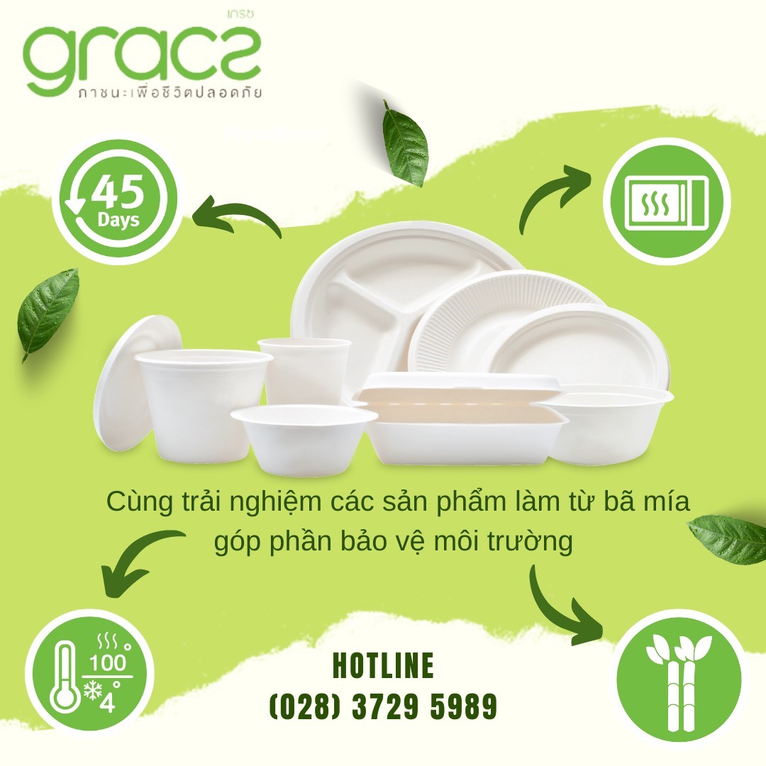 10 Chén bã mía Thái Lan 350ml (trắng)