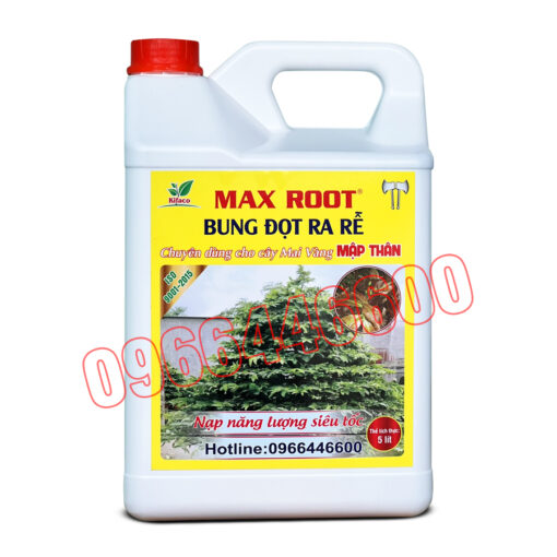 MAXROOT BUNG ĐỌT RA RỄ CHO MAI VÀNG