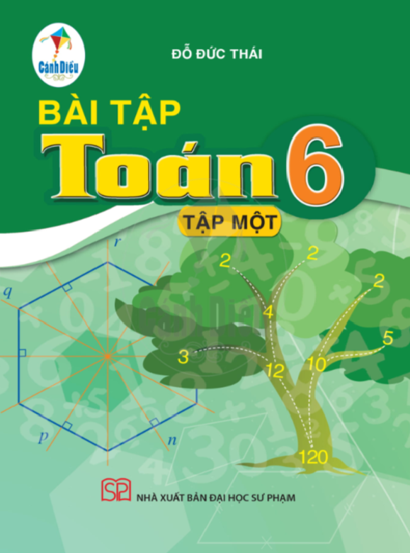 Bài tập toán lớp 6 tập 1 - bộ cánh diều