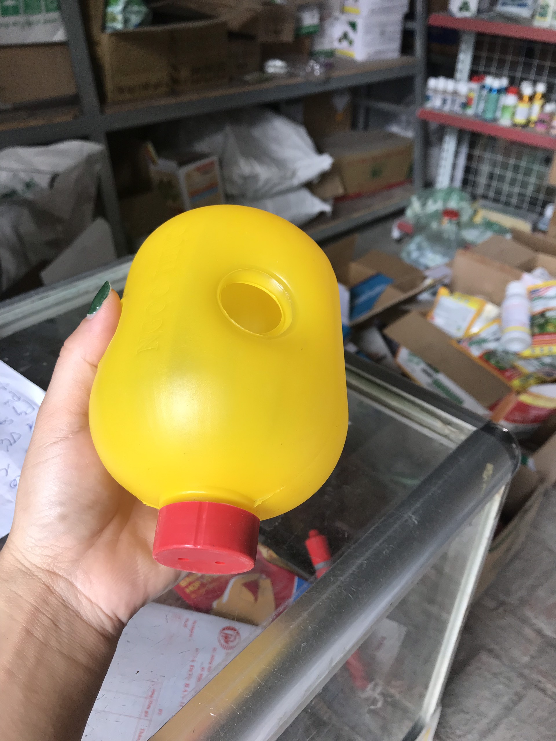 Bộ 3 chiếc - Lồng bẫy ruồi vàng đục trái