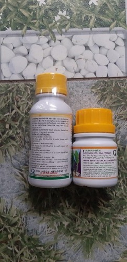 BỘ SẢN PHẨM DƯỠNG CÂY, CHĂM SÓC CÂY SỨ THÁI (AMINO Ca: 100 ML VK HUMAT : 50 ML)