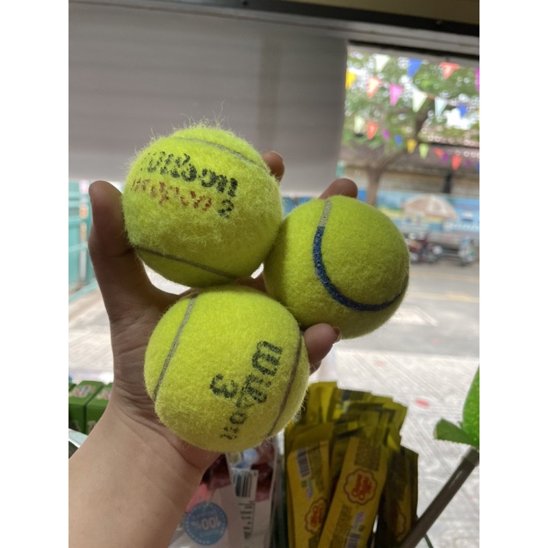 [HCM]BÓNG TENNIS CỦ 1 trái (sỉ = lẻ)