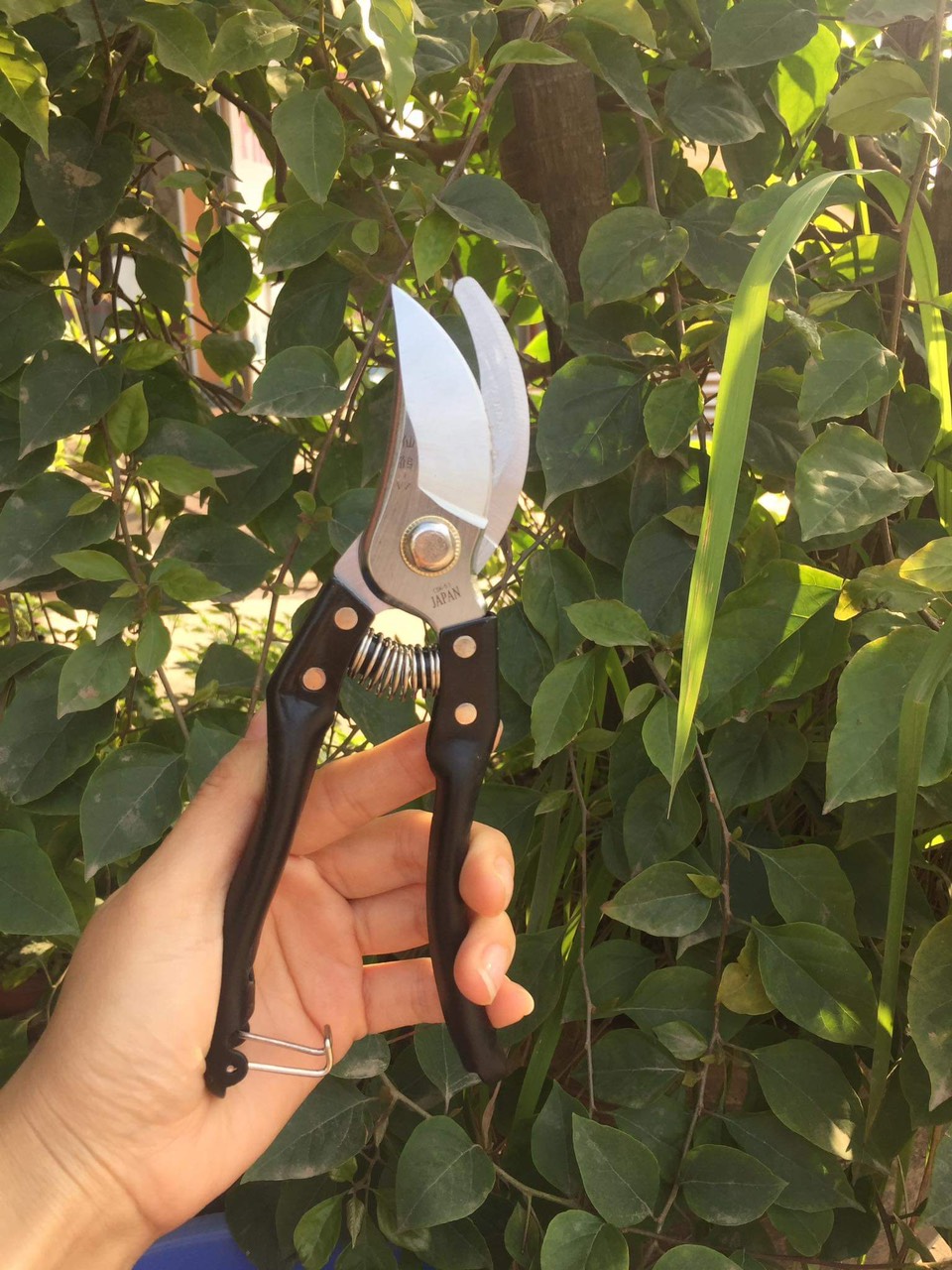 Bộ 3 dụng cụ chăm sóc cây cảnh, bonsai