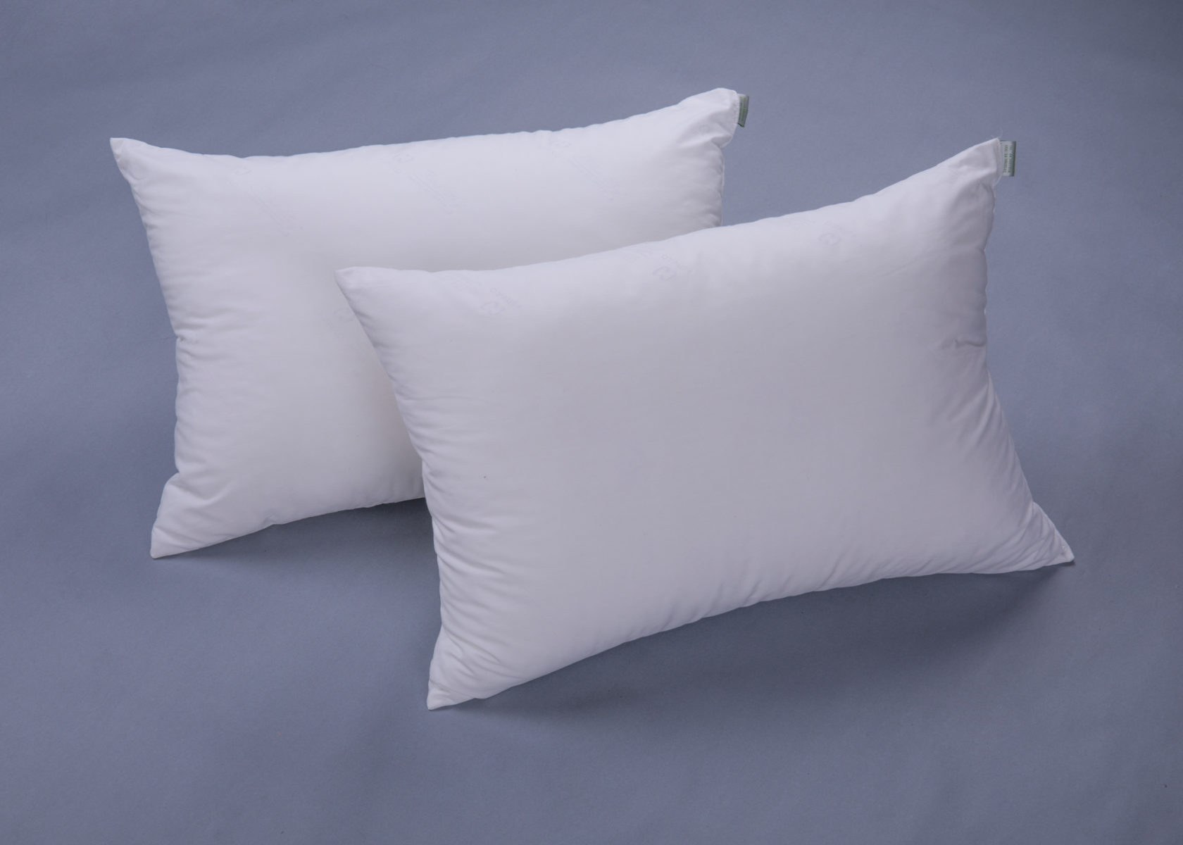 RUỘT GỐI ÉP HƠI CAO CẤP SÀI GÒN 40x60cm