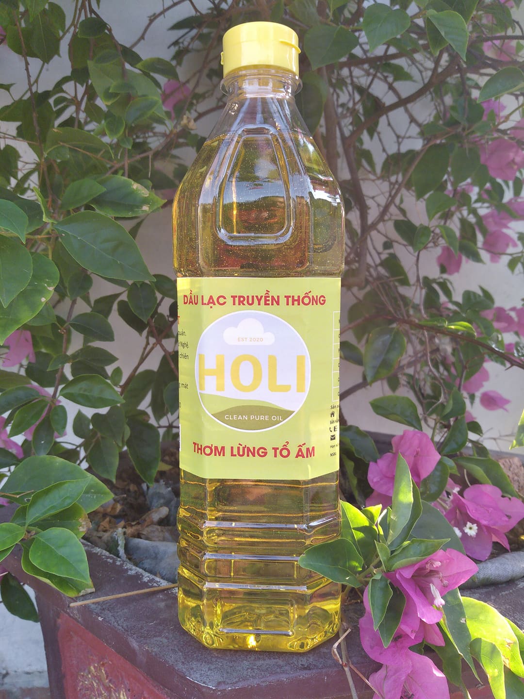 Dầu lạc nguyên chất ép lạnh Holi 1L