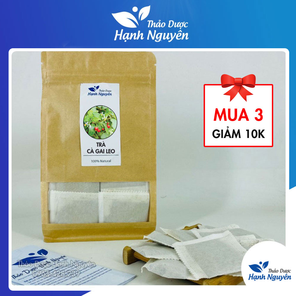 Trà cà gai leo (bịch 50 túi lọc) thanh lọc cơ thể - Thảo Dược Hạnh Nguyên